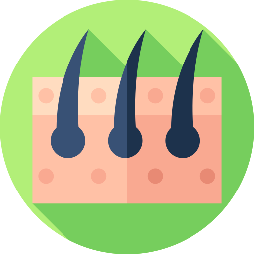 Hair growth icon representing healthy hair follicles and advanced Hair Regrowth Treatment in Bhopal by Dr. Prerna Sharma, Dermatologist and Hair Specialist in Bhopal.